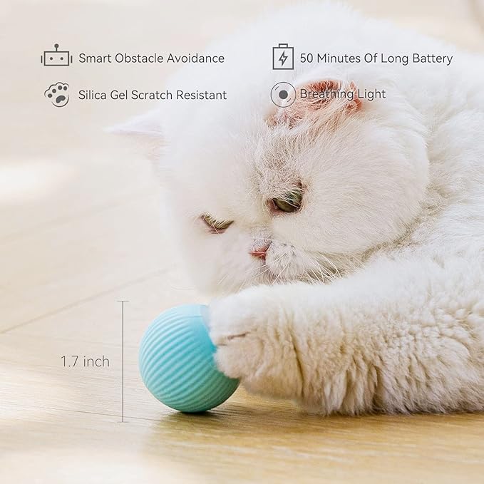 Interactive Cat Toy Ball with LED Light, 360° Self-Rotating Electric Ball, USB Rechargeable Electric Cat Toy